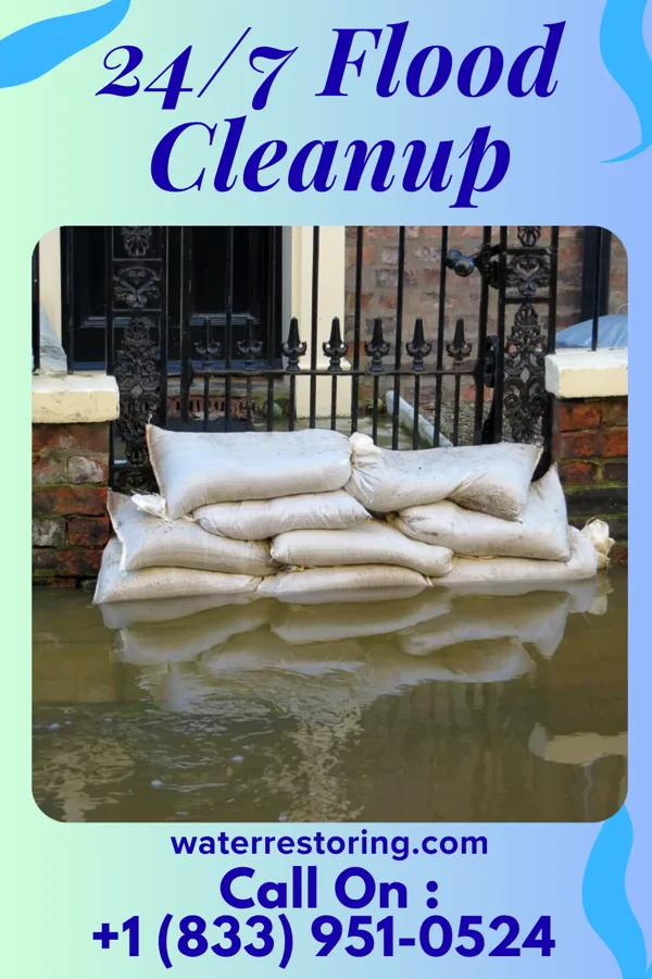 24/7 Flood Cleanup in Lake Holiday, VA