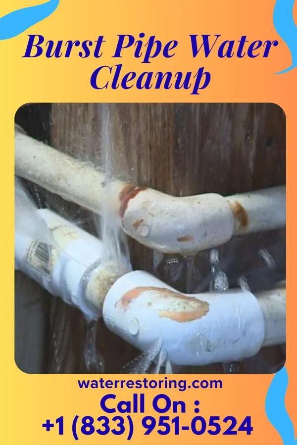 Burst Pipe Water Cleanup in Lake Holiday, VA