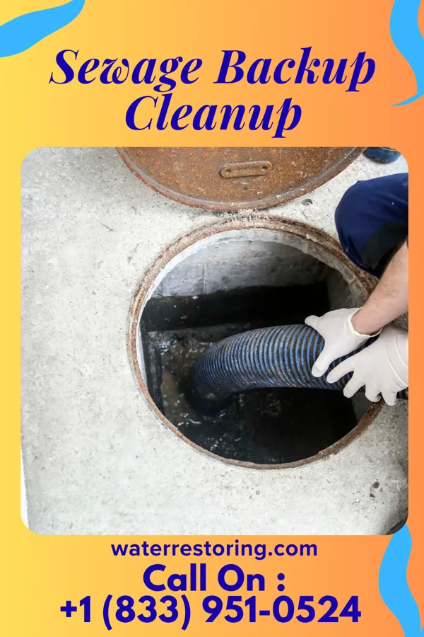 Sewage Backup Cleanup in Lake Holiday, VA